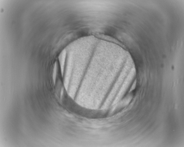 X0000088230041200706051359