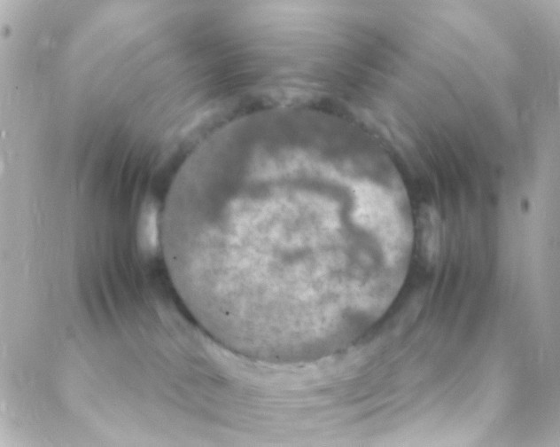 X0000088230042200706051359