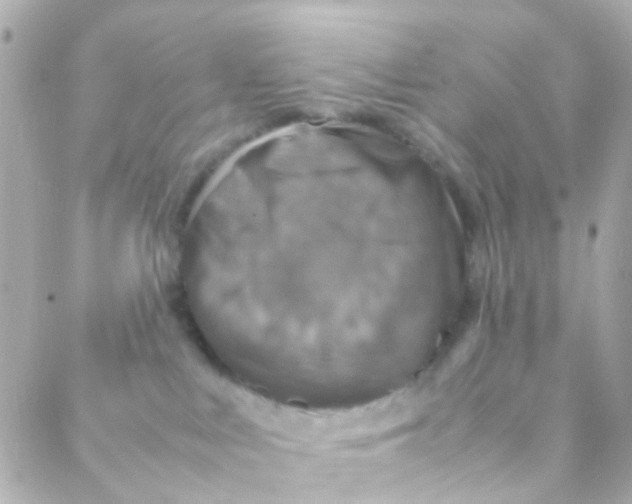 X0000088230043200706051359