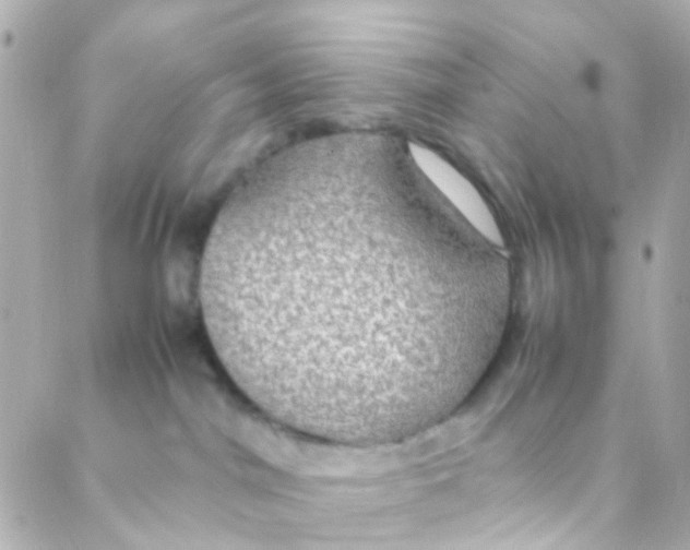 X0000088230044200706051359