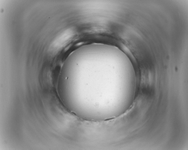 X0000088230045200706051359