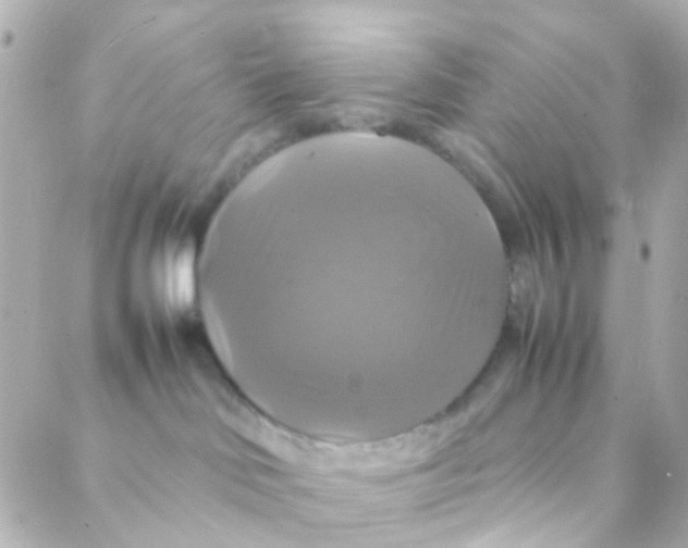 X0000088230046200706051359