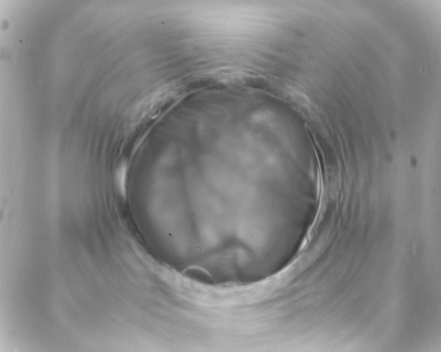 X0000088230047200706051359