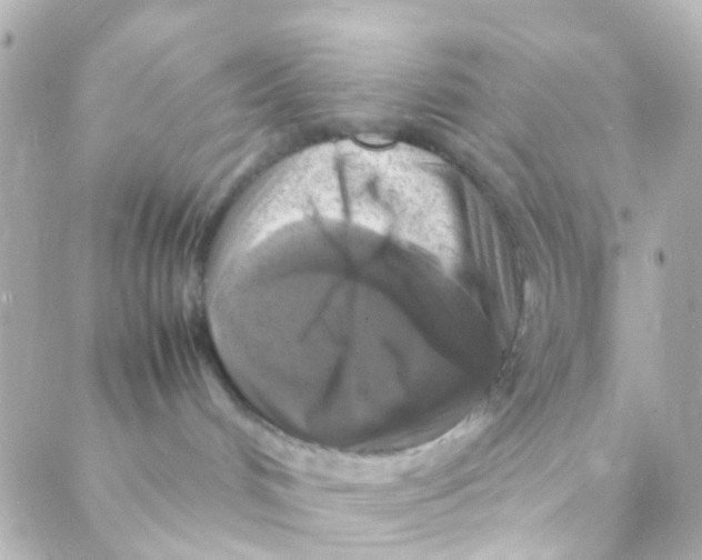 X0000088230048200706051359