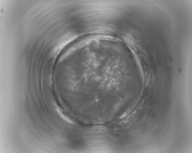 X0000088230050200706051358