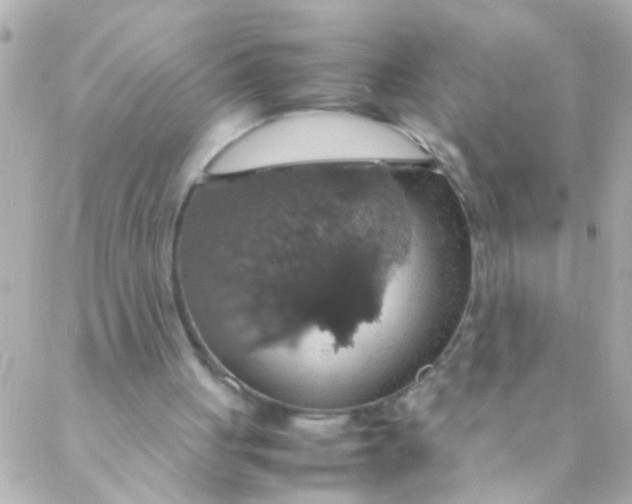 X0000088230051200706051358