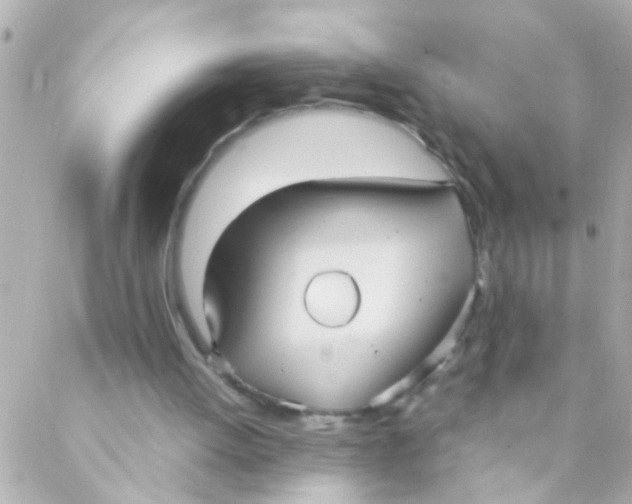 X0000088230052200706051358