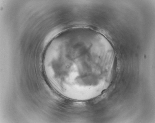 X0000088230053200706051358