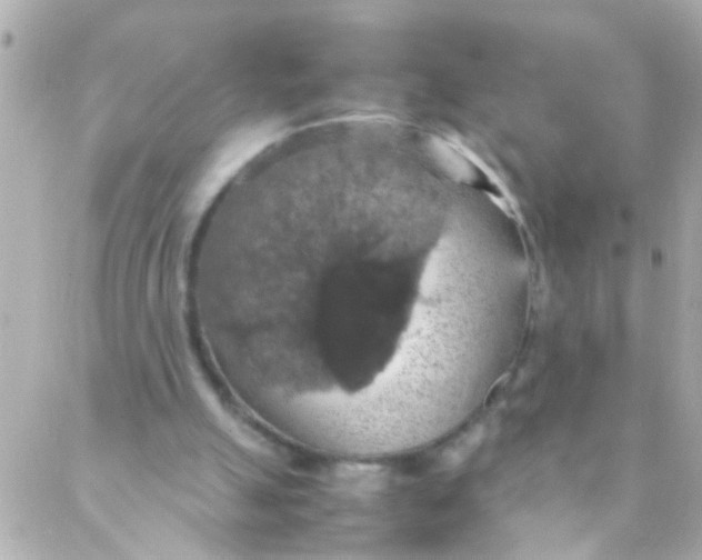 X0000088230055200706051358