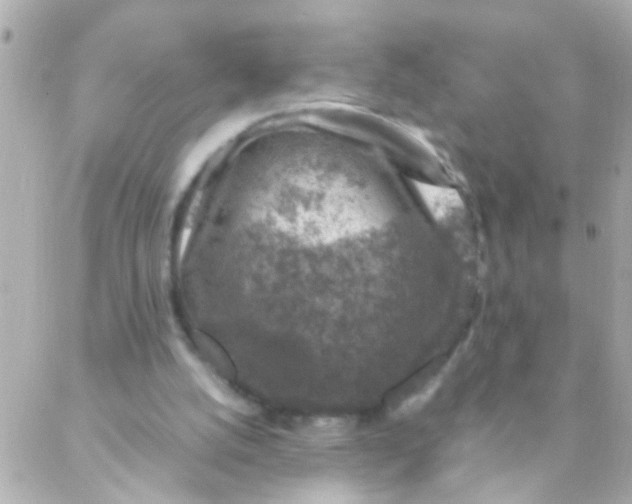 X0000088230056200706051358