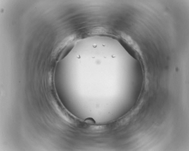 X0000088230057200706051358