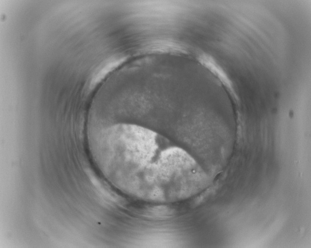 X0000088230058200706051358