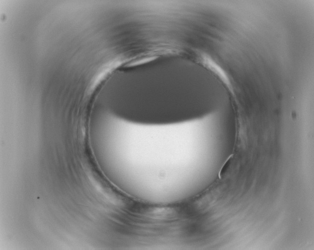 X0000088230059200706051358