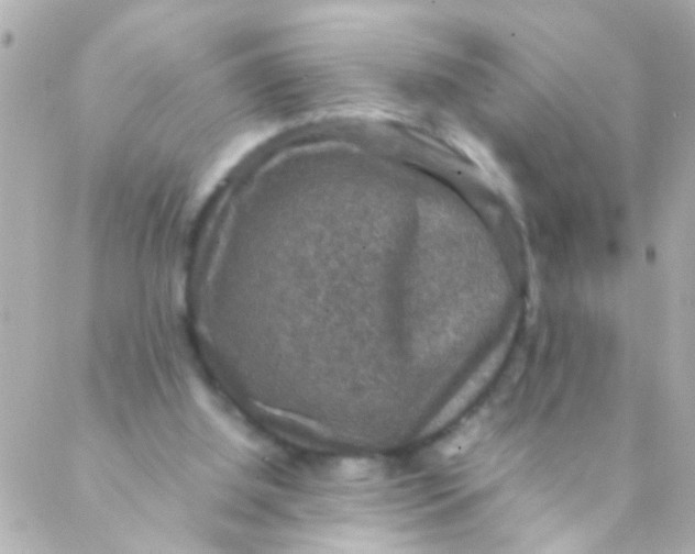 X0000088230060200706051358