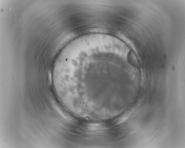 X0000088230061200706051358