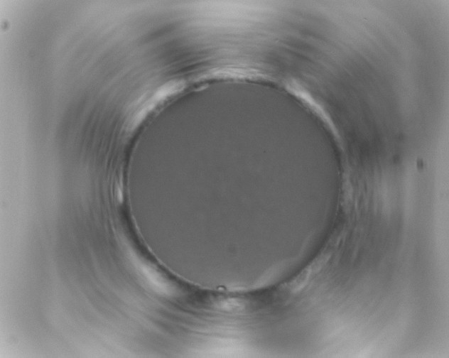 X0000088230062200706051358