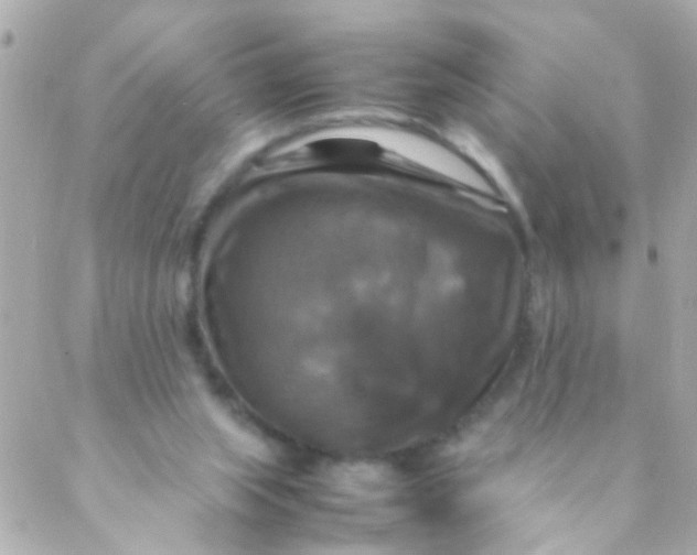 X0000088230063200706051358