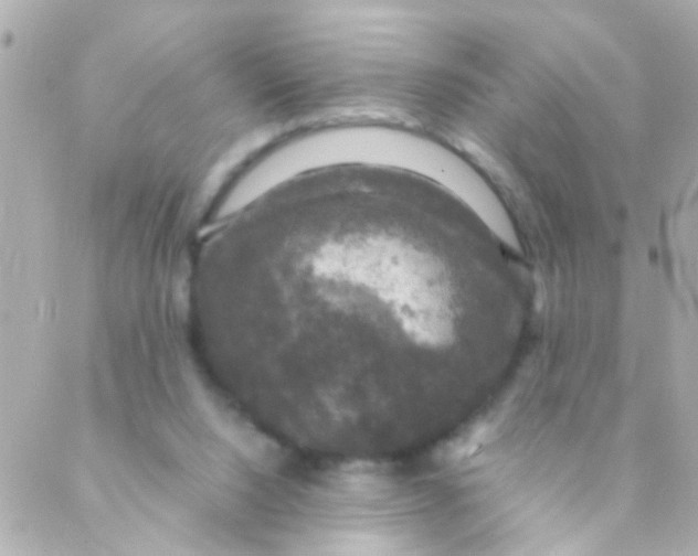 X0000088230064200706051358