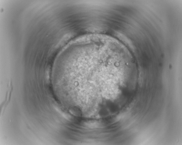 X0000088230065200706051358