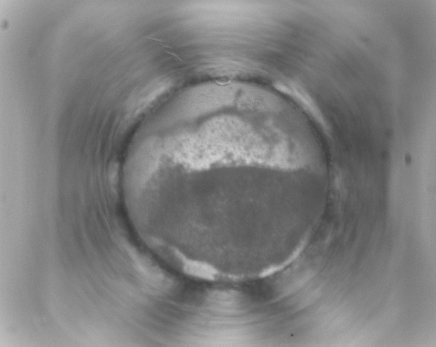 X0000088230066200706051358