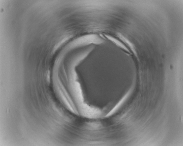 X0000088230067200706051358