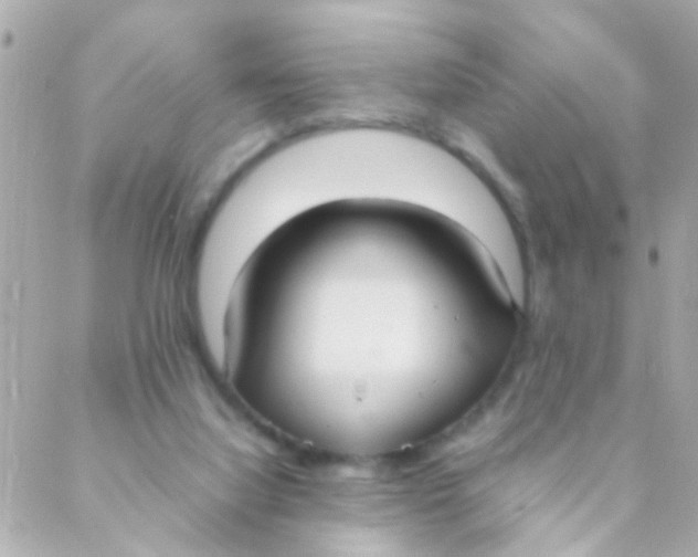 X0000088230068200706051358