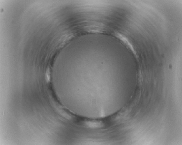 X0000088230069200706051358