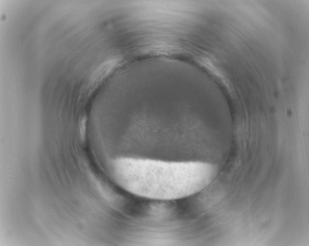 X0000088230070200706051358