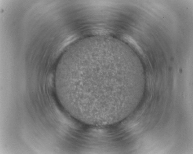 X0000088230071200706051358