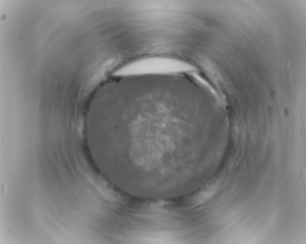 X0000088230072200706051358