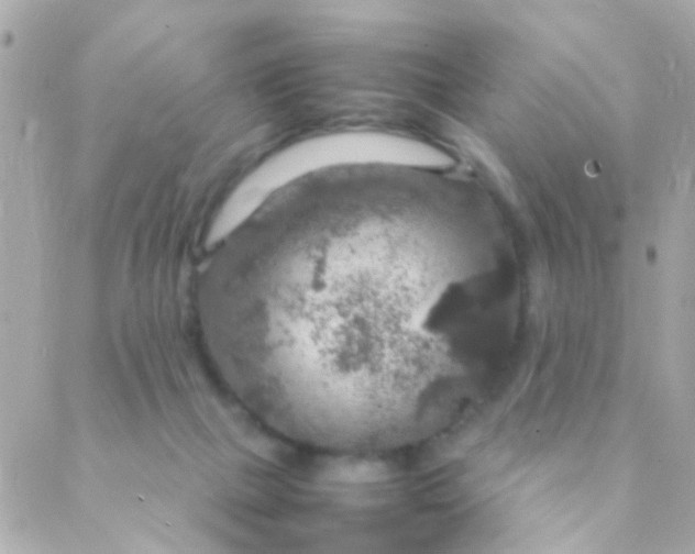 X0000088230073200706051358