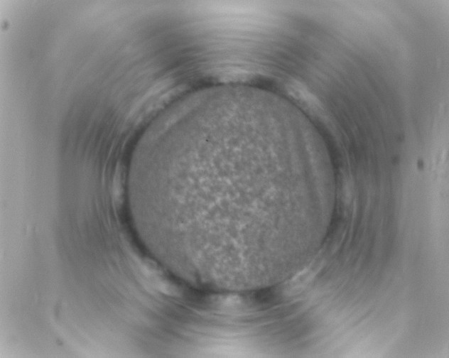 X0000088230074200706051358