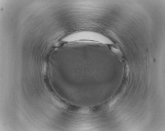 X0000088230076200706051358