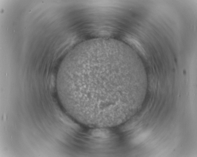 X0000088230077200706051358