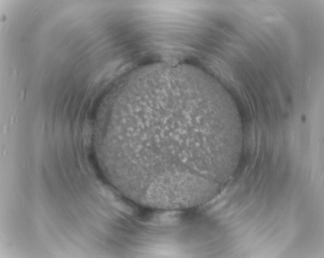 X0000088230078200706051358