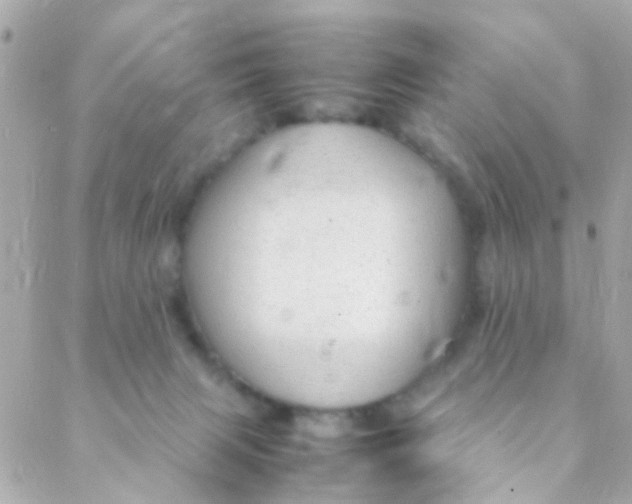 X0000088230079200706051358