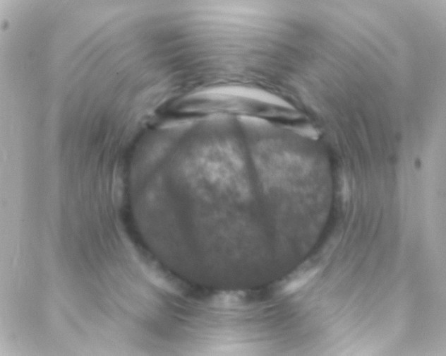 X0000088230080200706051358