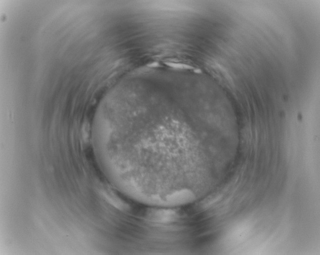 X0000088230081200706051358