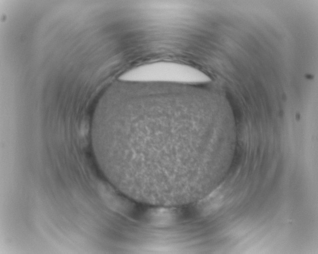 X0000088230082200706051358