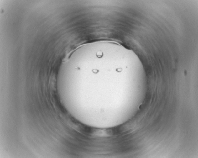 X0000088230083200706051358