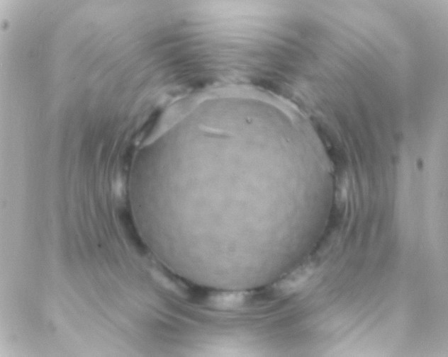 X0000088230084200706051358