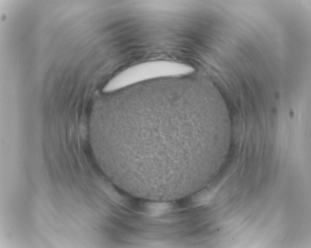 X0000088230085200706051358