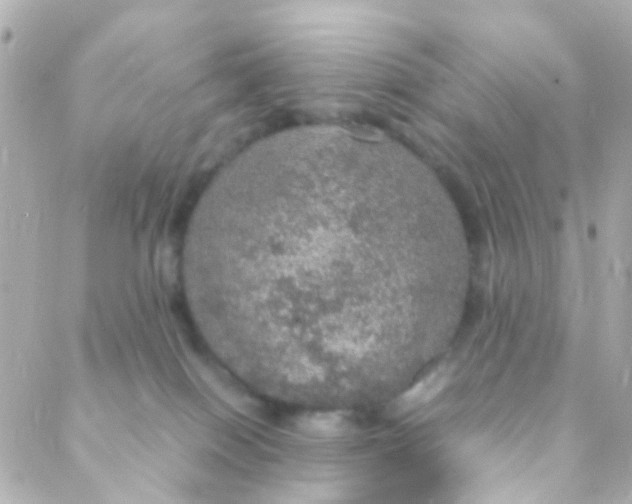 X0000088230086200706051358