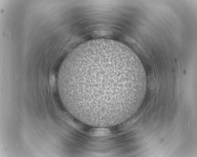 X0000088230087200706051358