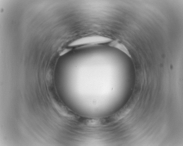 X0000088230088200706051358