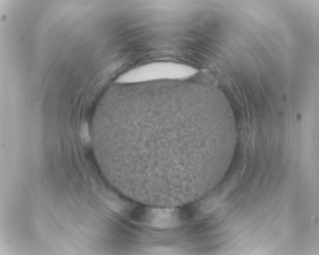 X0000088230089200706051358