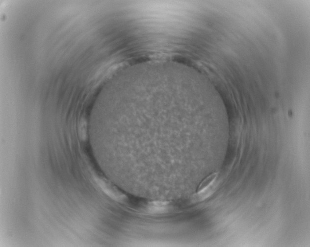 X0000088230090200706051358