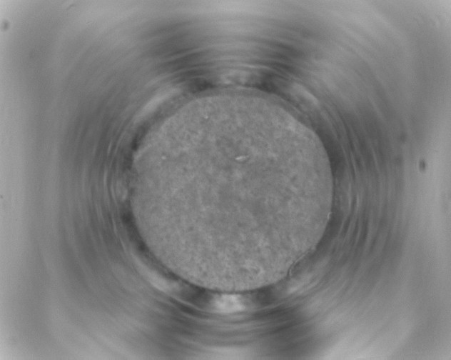 X0000088230091200706051359