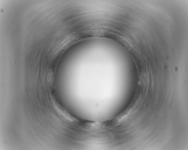 X0000088230092200706051359