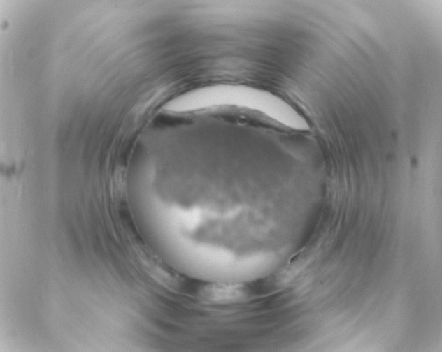 X0000088230093200706051359